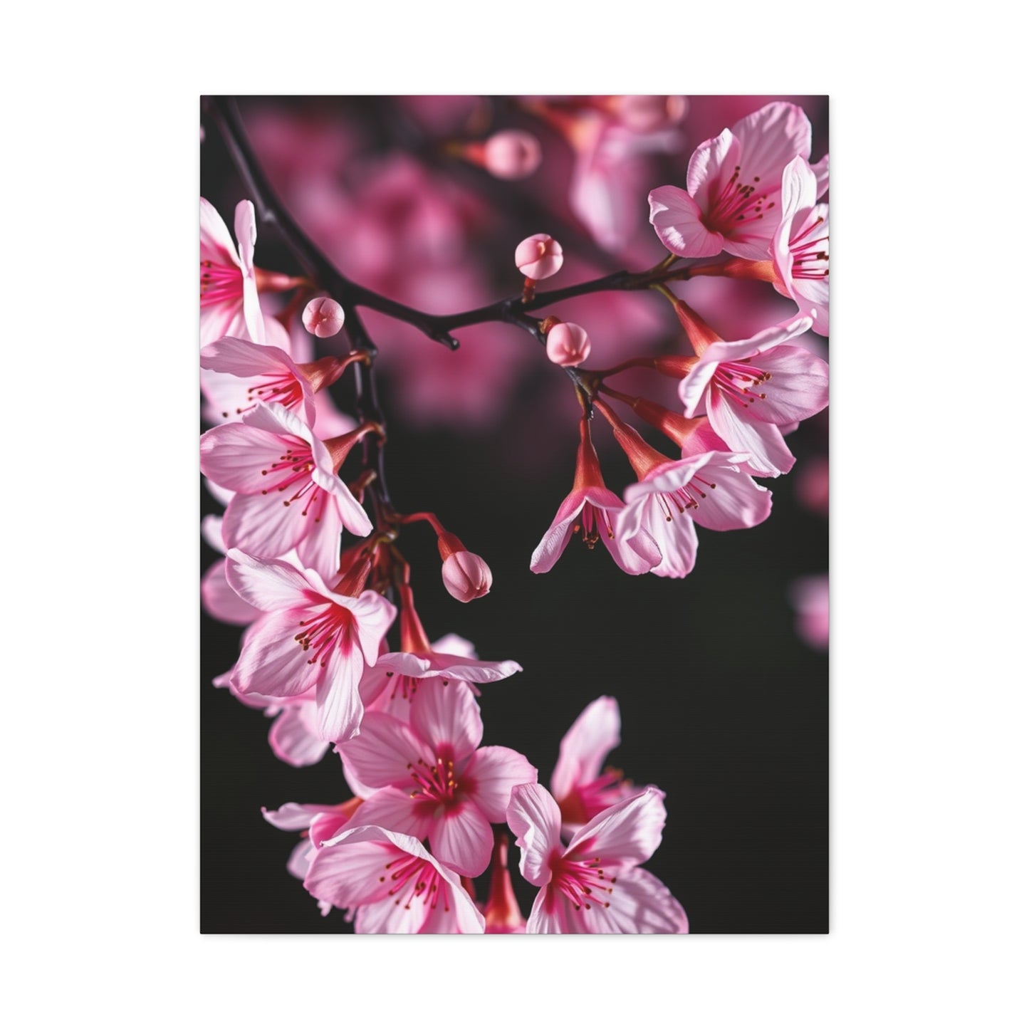 Supreme Cherry Blossom Wall Art Beautiful Collection Wall Art & Canvas Print