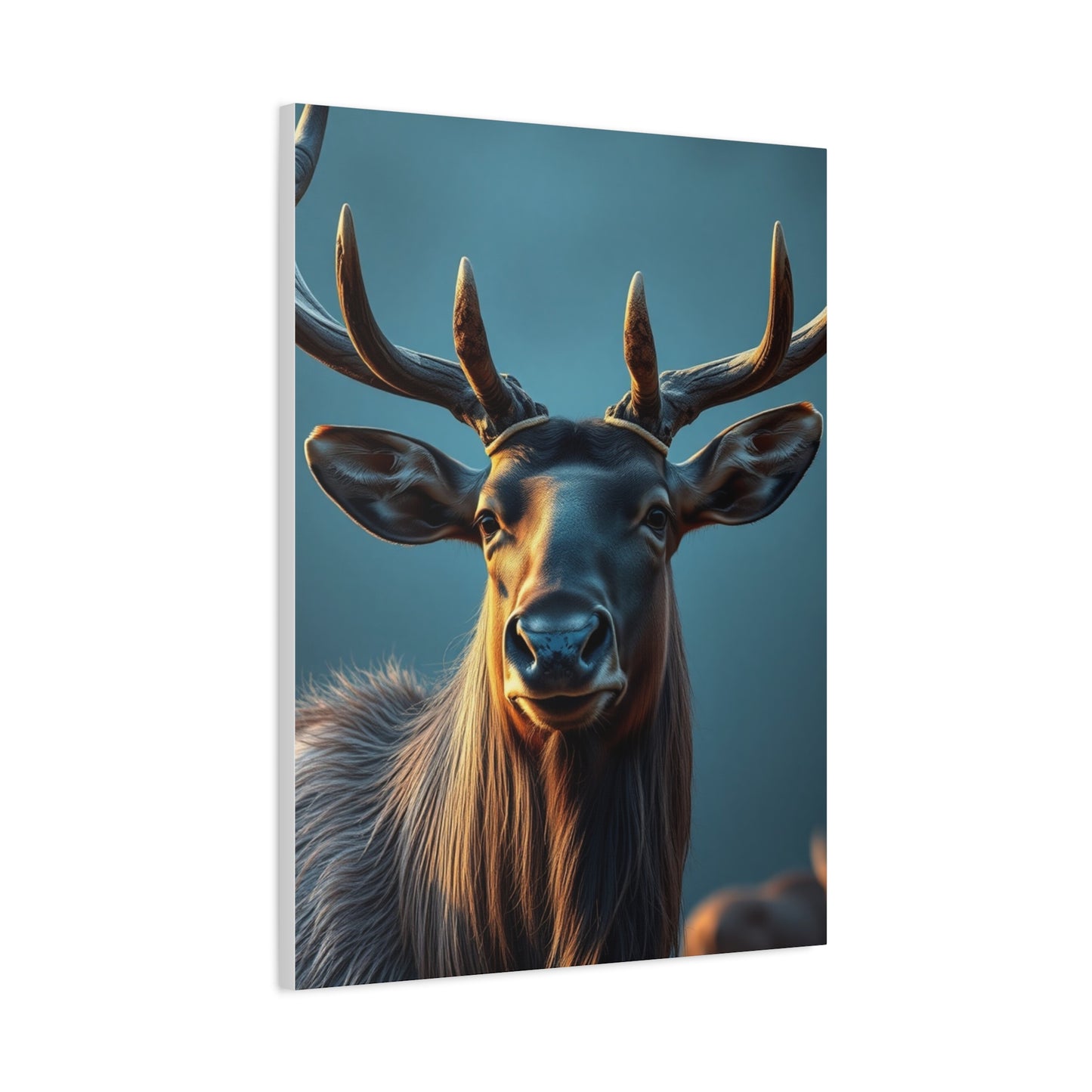 Sovereign Elk Elegance