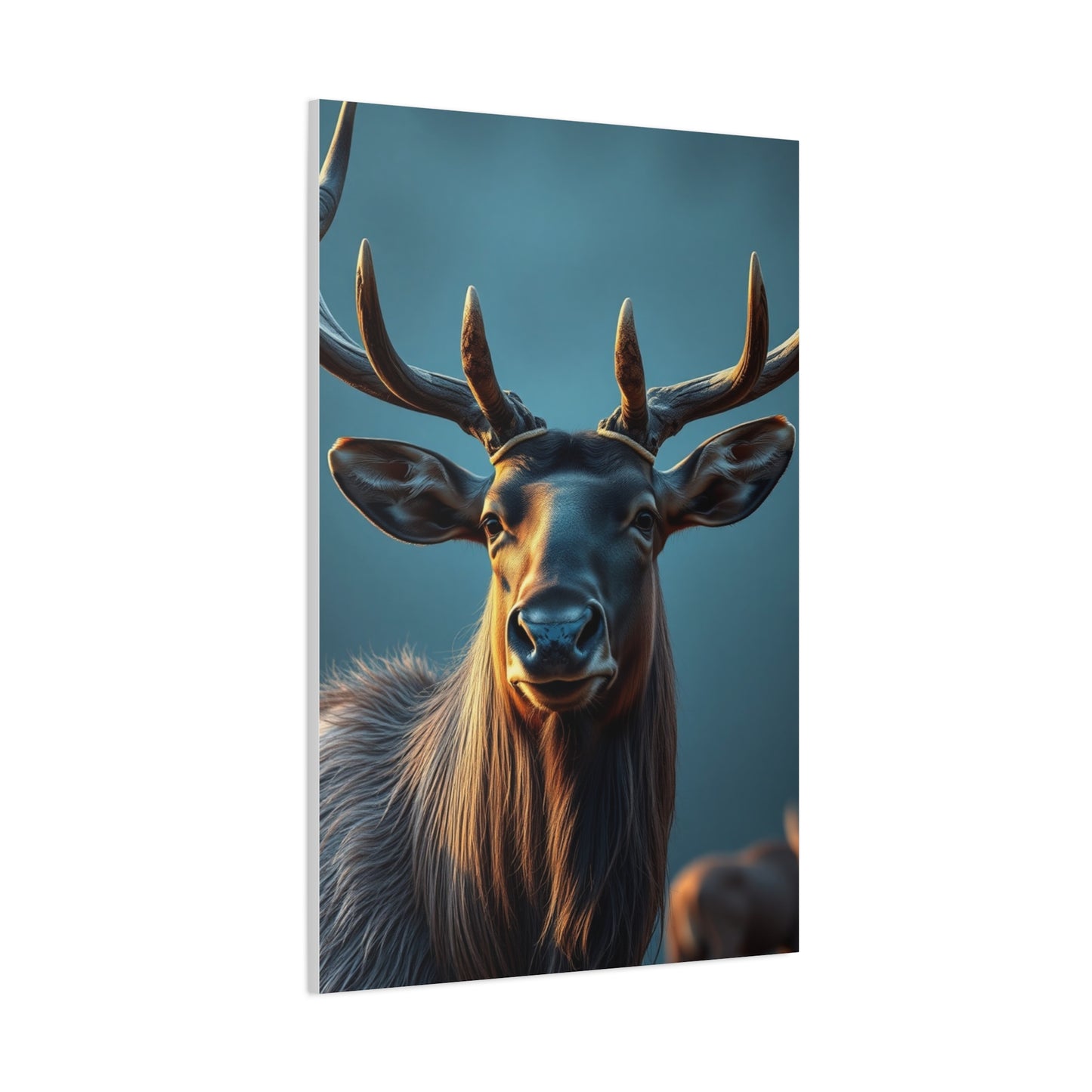 Sovereign Elk Elegance