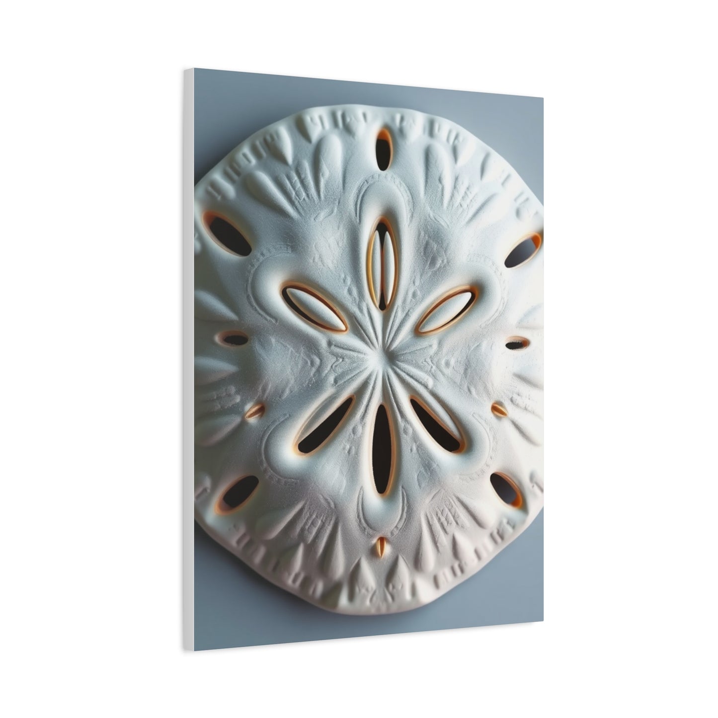 Supreme Sand Dollar Art Beautiful Collection Wall Art & Canvas Print