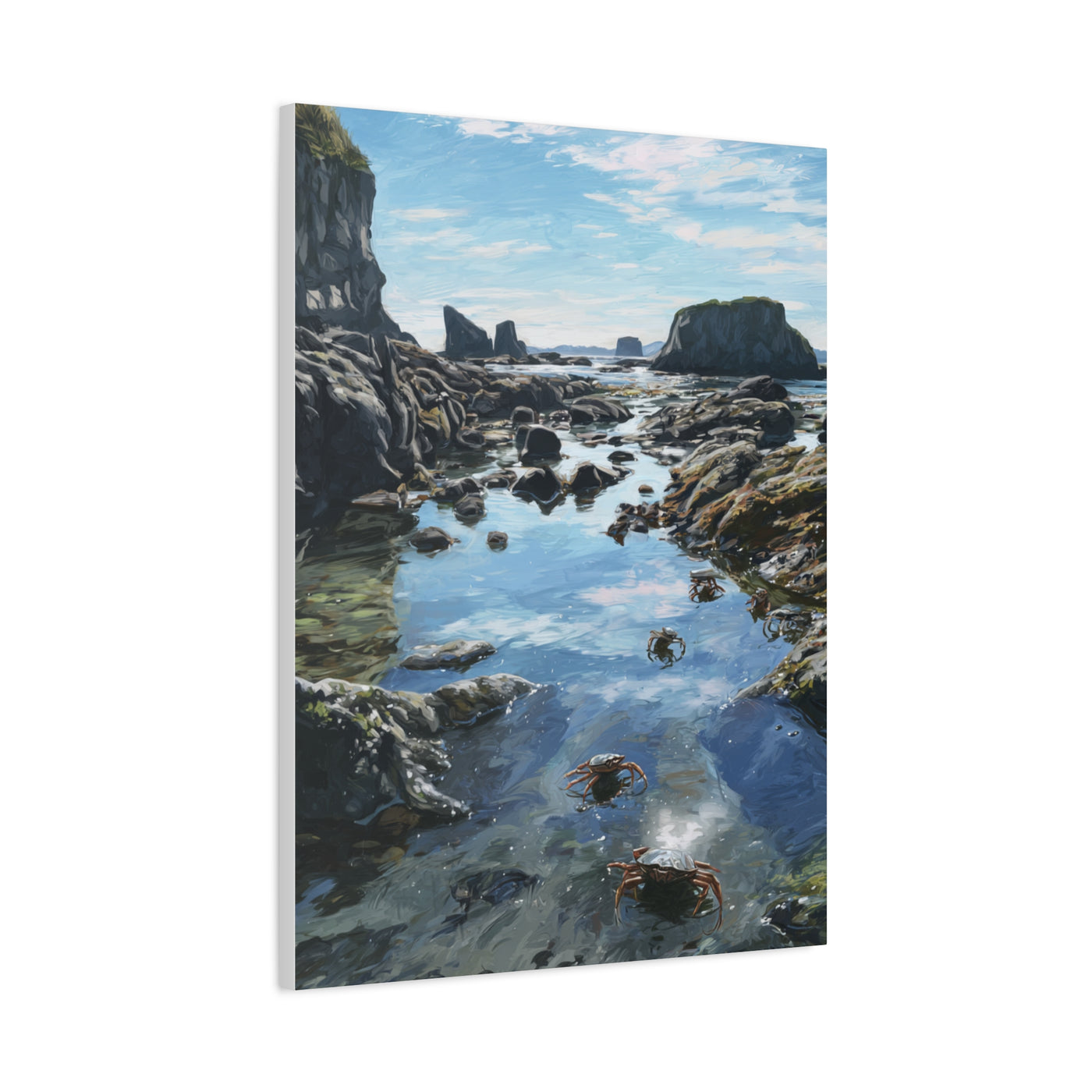 Tide Pools Along Rocky Coastal Shore Wall Art & Canvas Print