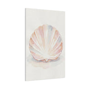 Blush Shell Elegance Wall Art & Canvas Prints