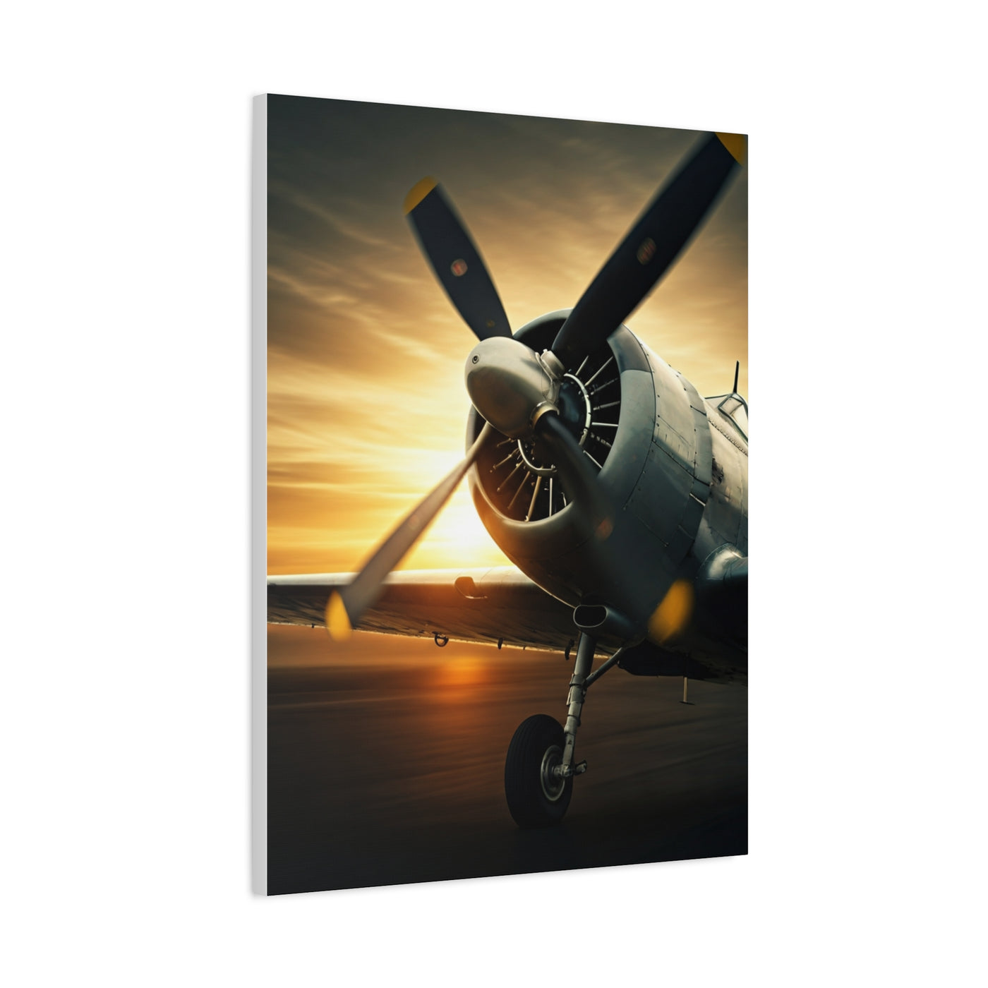 Propeller Power at Golden Hour Wall Art & Canvas Prints