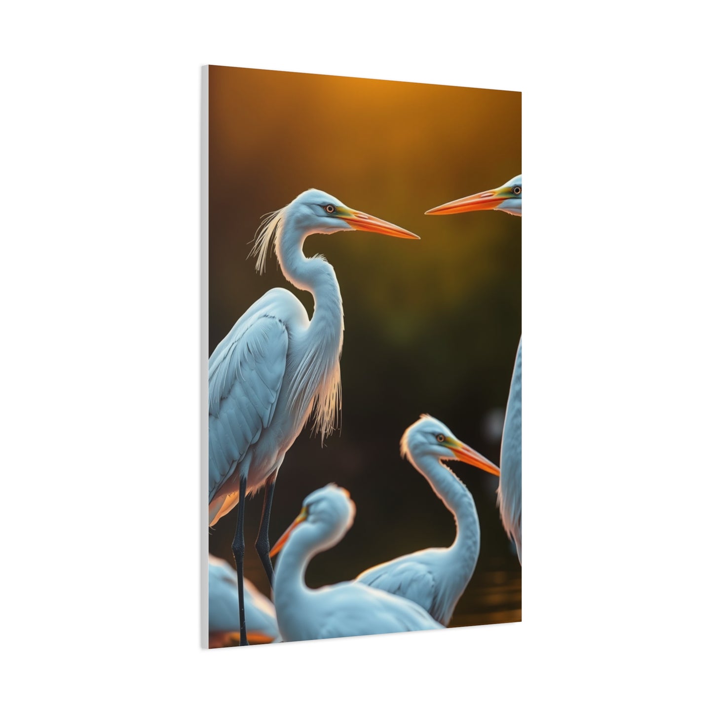Supreme Herons and Egrets Art Collection Wall Art & Canvas Print