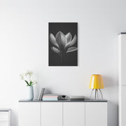 Magnolia Blossom Serenity Monochrome Wall Art & Canvas Prints