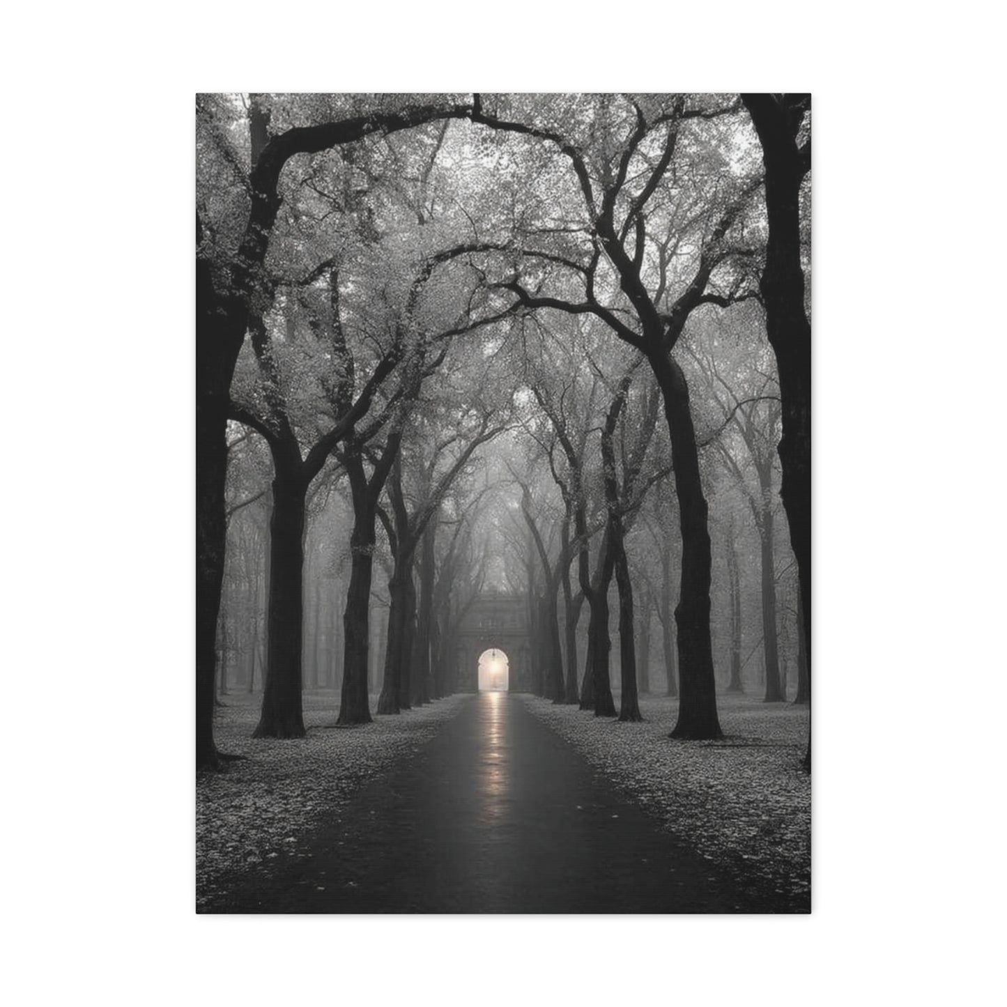 Misty Tree Avenue Monochrome Wall Art & Canvas Print