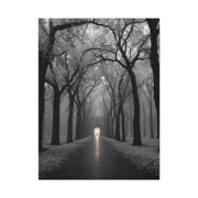 Misty Tree Avenue Monochrome Wall Art & Canvas Print