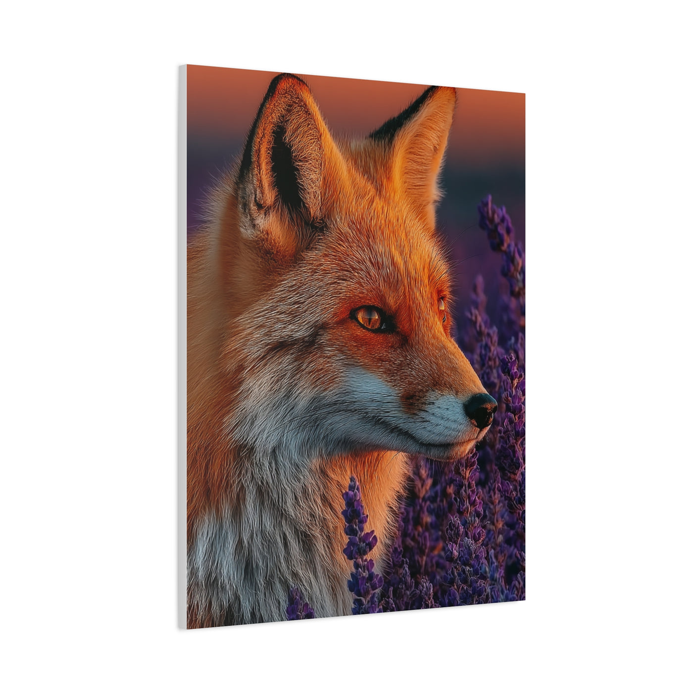 Lavender Field Fox Sunrise Wall Art & Canvas Print