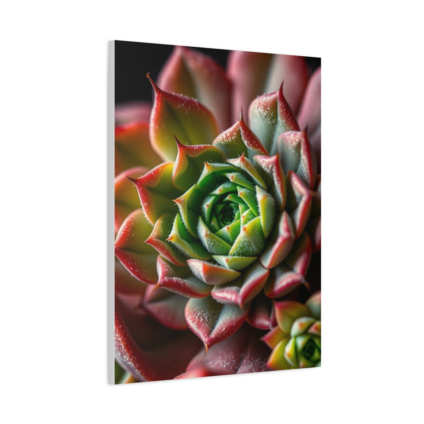 Vision Succulent Art Art Wall Art & Canvas Print