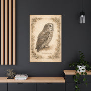 Antique Natural History Owl Study Wall Art & Canvas Print