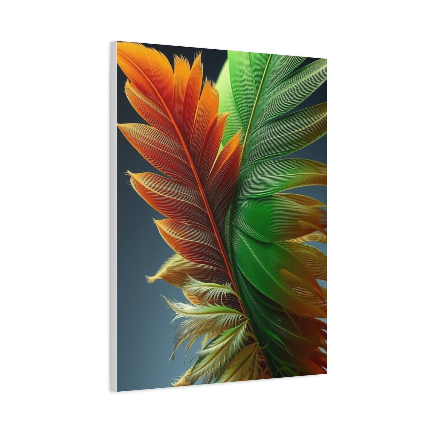 Supreme Feather Art Beautiful Collection Wall Art & Canvas Print