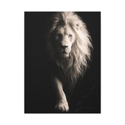 White Lion Shadow Walk Power Wall Art & Canvas Print