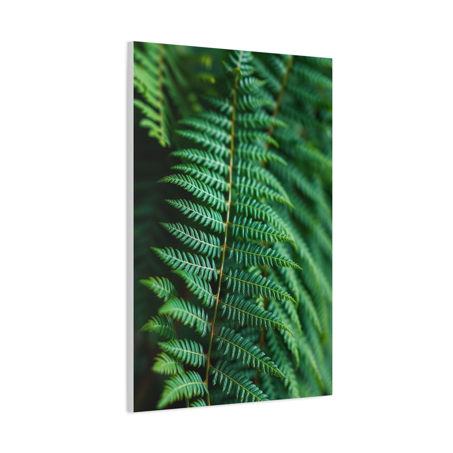 Elite Fern Art Vision Wall Art & Canvas Print