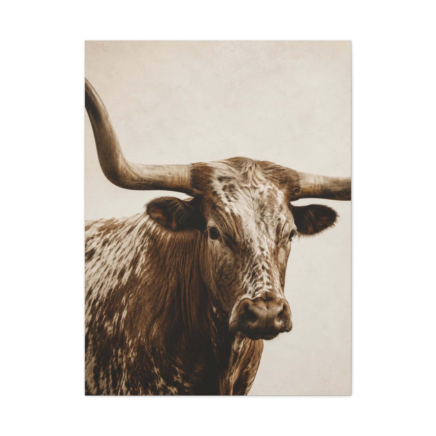 Texas Longhorn Heritage Portrait Wall Art & Canvas Print