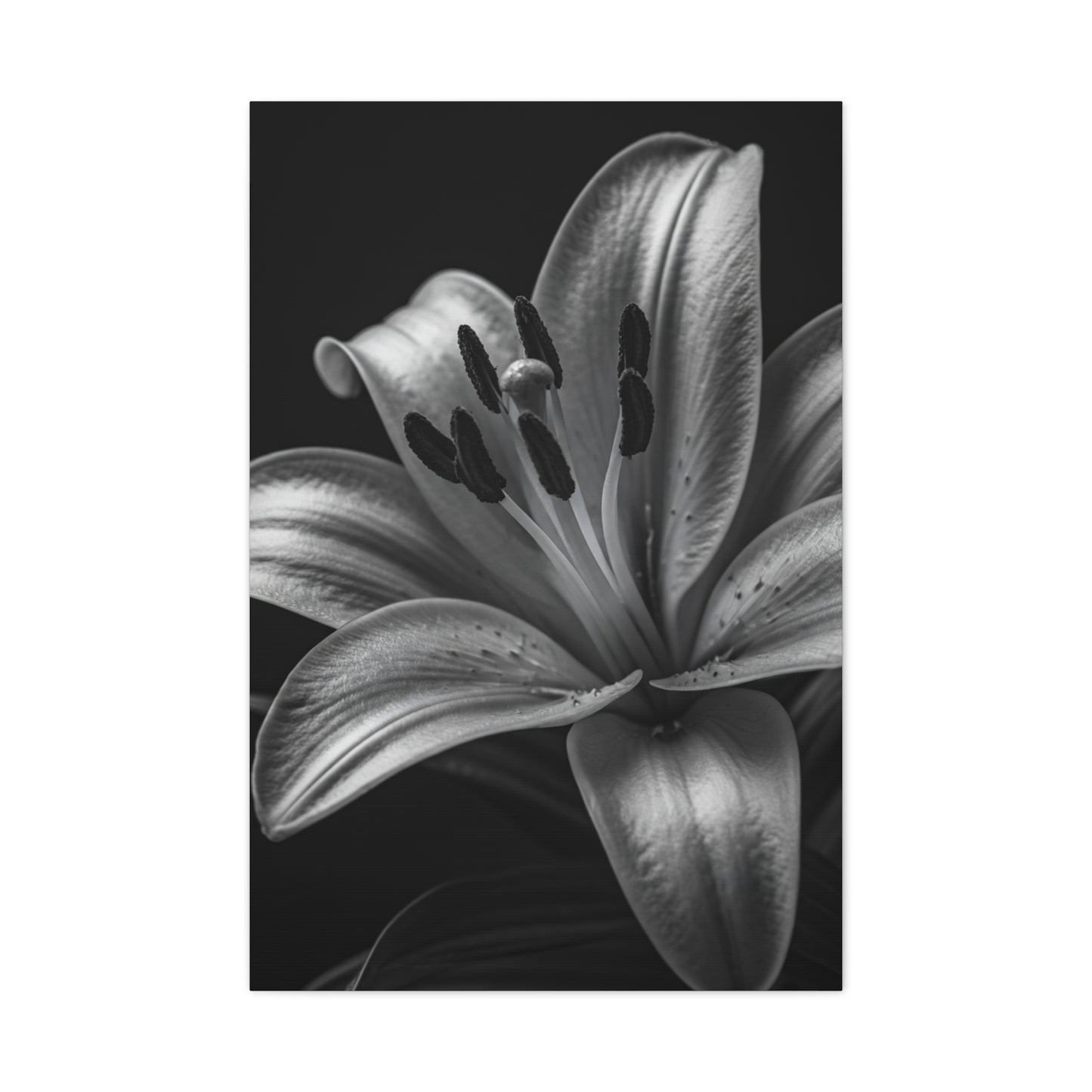 Lavender Silhouette in Low Light Wall Art & Canvas Prints