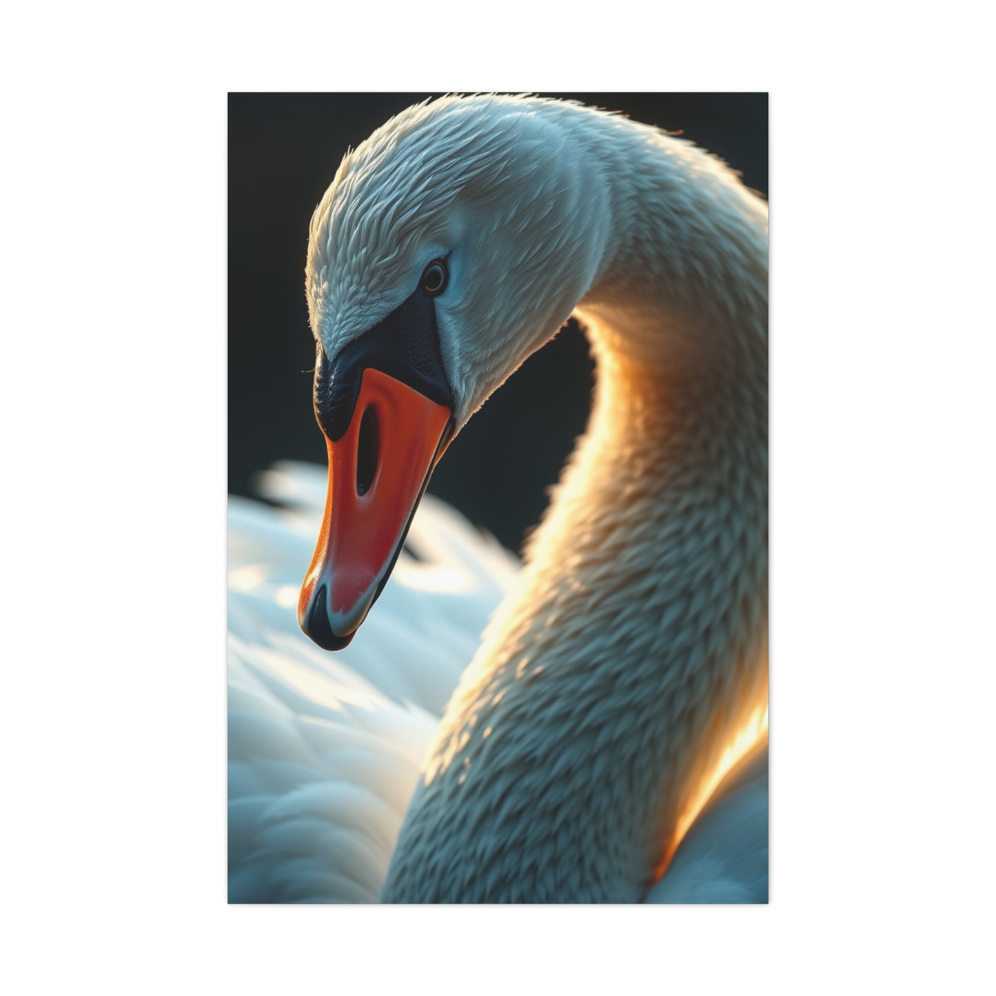 Supreme Swan Art Beautiful Collection Wall Art & Canvas Print