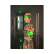 Luminous Crystal Figure Installation Wall Art & Canvas Print