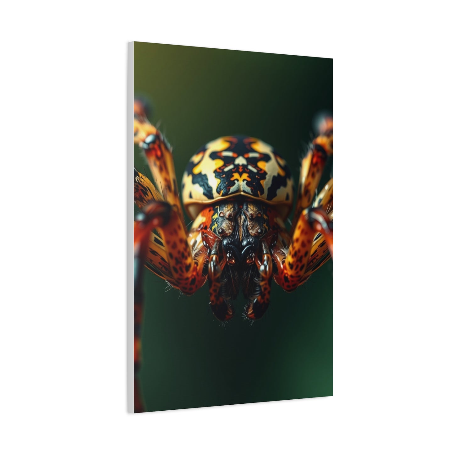 Supreme Spiders Art Beautiful Collection Wall Art & Canvas Print