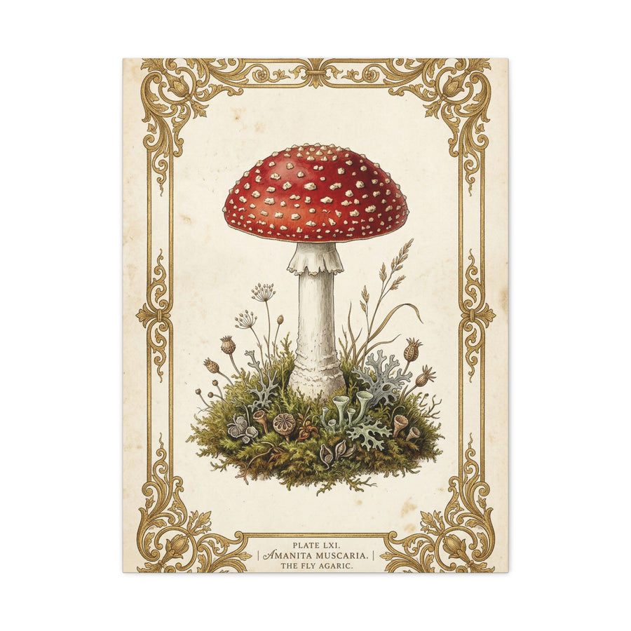 Victorian Botanical Mycology Plate Wall Art & Canvas Print
