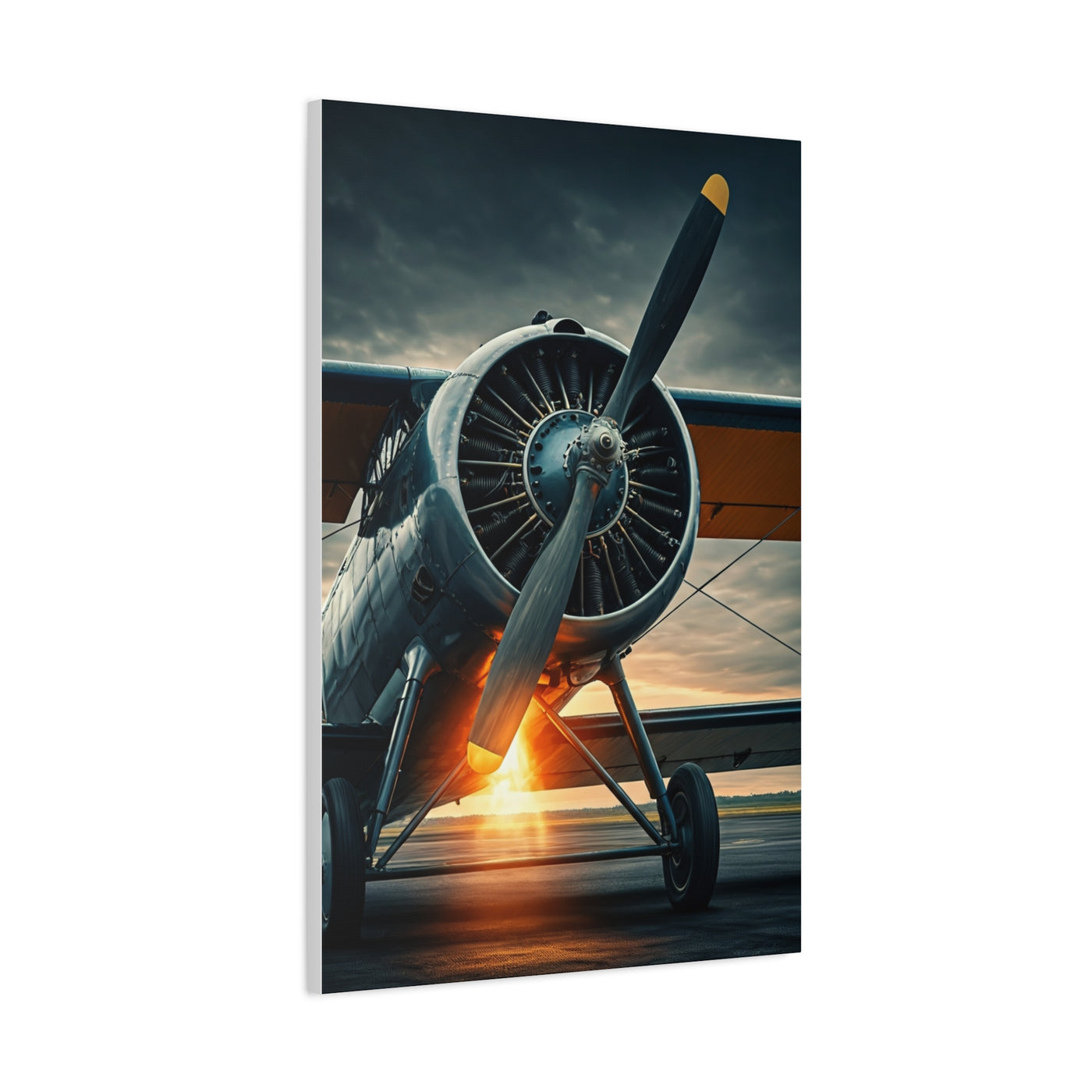Vintage Prop Engine Close-Up Wall Art & Canvas Prints