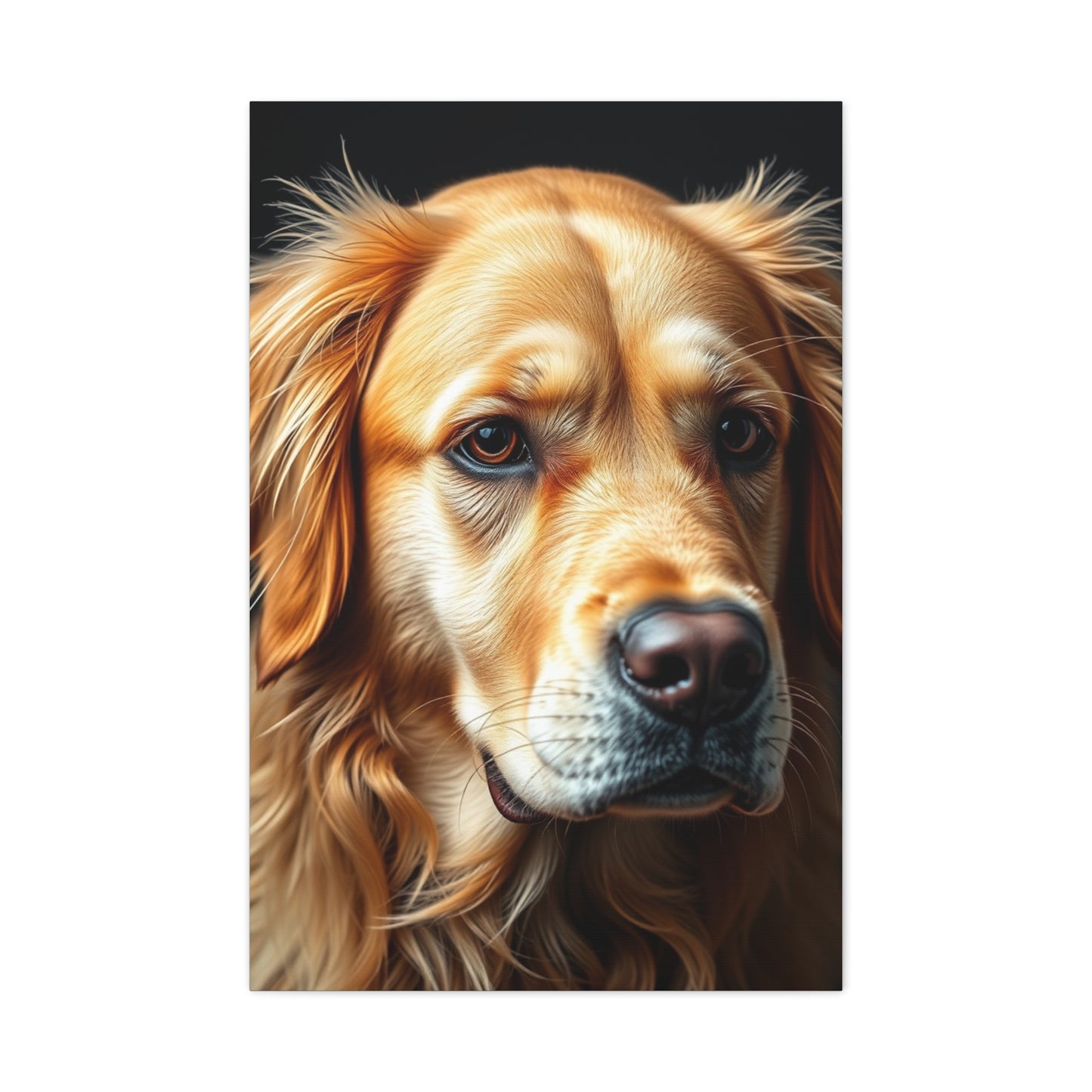 Supreme Golden Retriever Art Collection Wall Art & Canvas Print