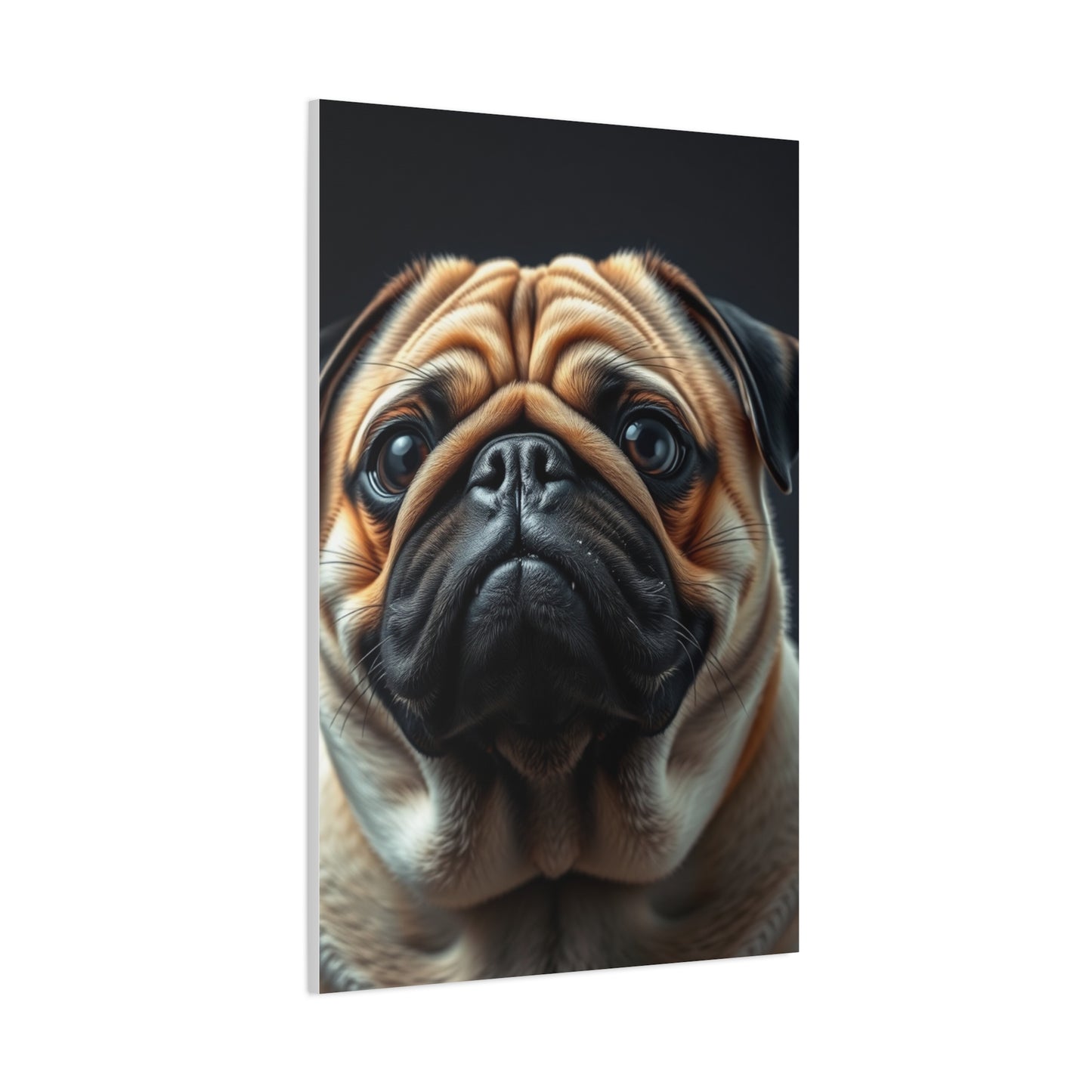 Supreme Pug Art Beautiful Collection Wall Art & Canvas Print