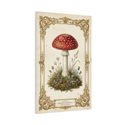 Victorian Botanical Mycology Plate Wall Art & Canvas Print