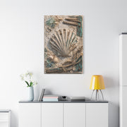 Coastal Shell Relief Composition Wall Art & Canvas Print