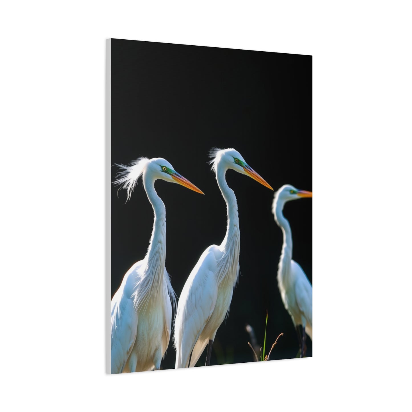 Vision Herons and Egrets Art Art Wall Art & Canvas Print
