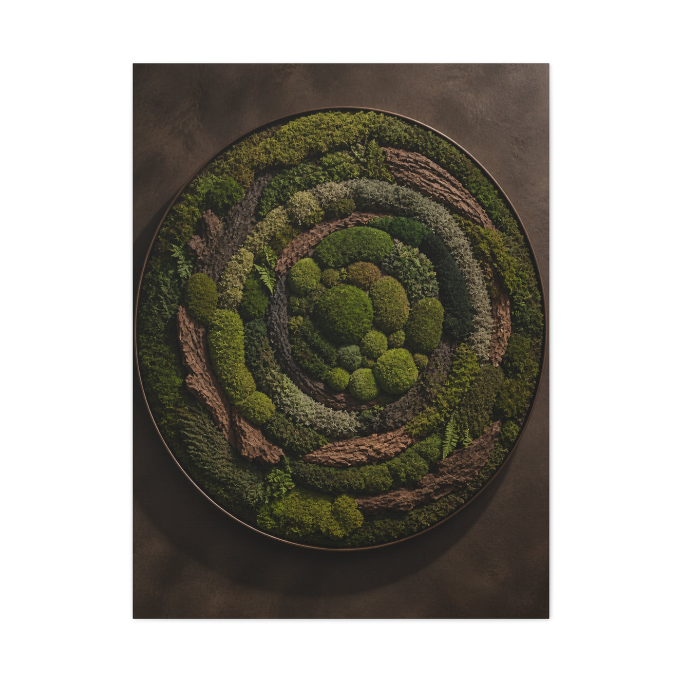 Circular Preserved Moss Relief Wall Art & Canvas Print