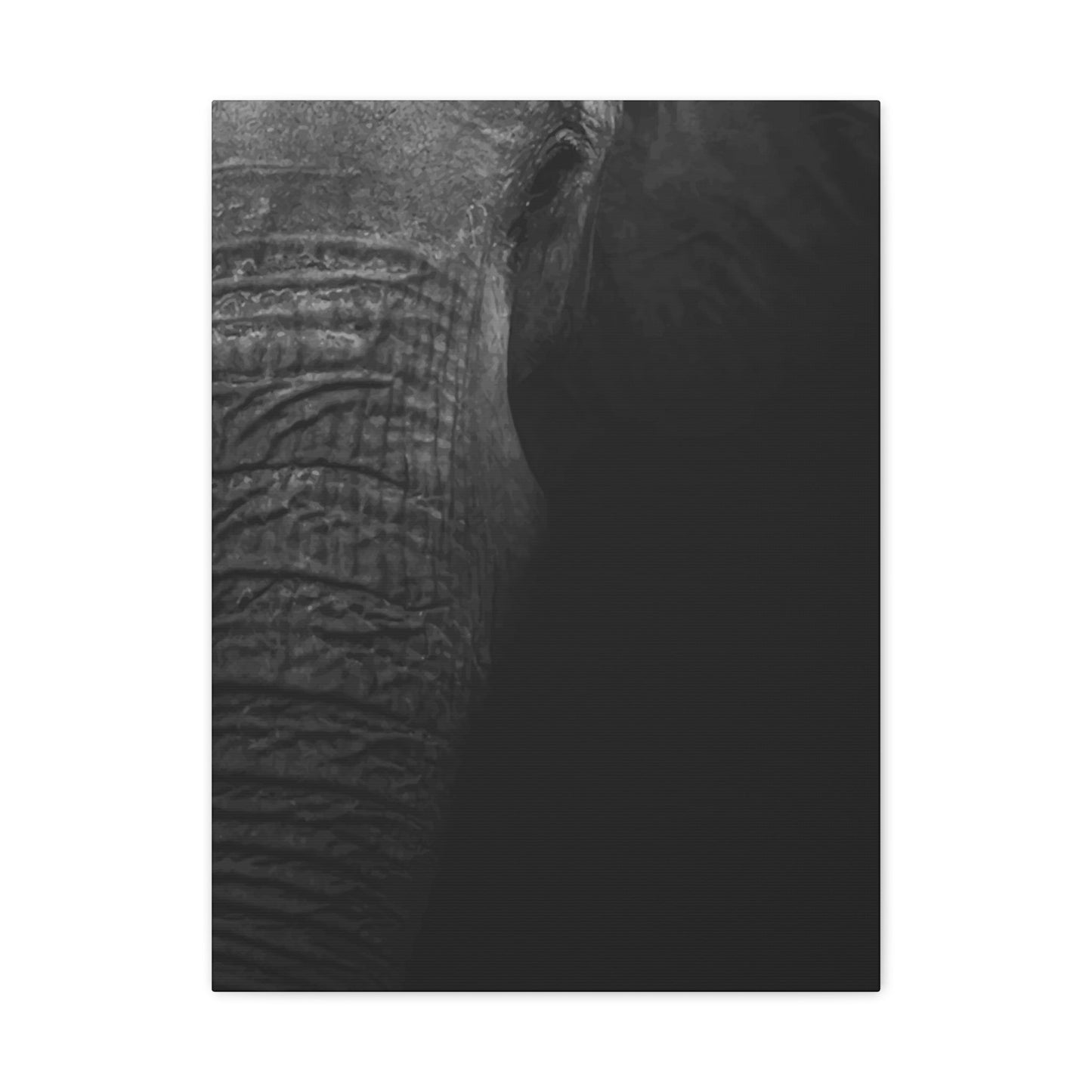 Elephant Wall Art & Canvas Prints