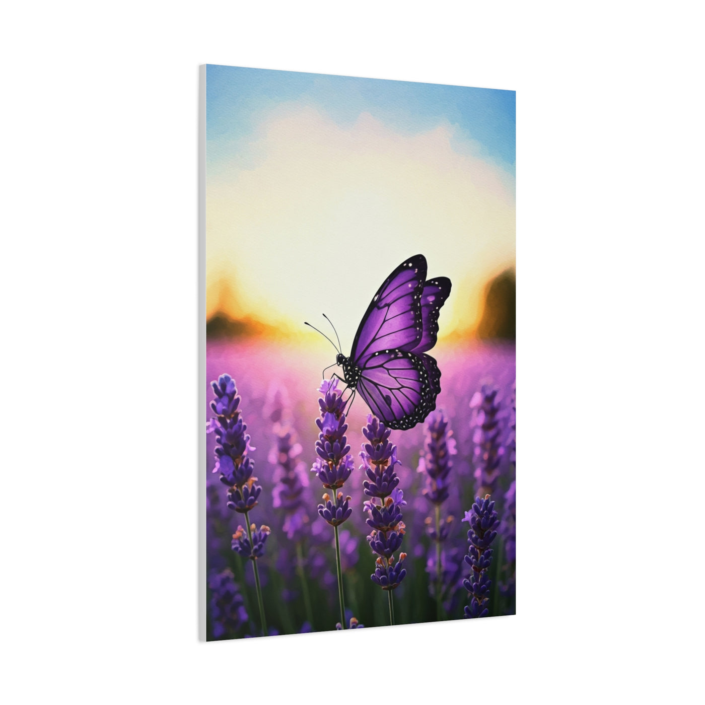 Lavender Field Purple Butterfly Wall Art & Canvas Prints