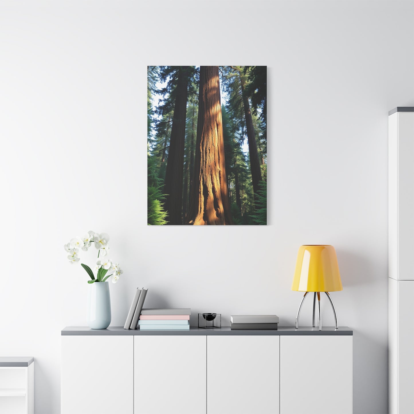 Supreme Redwood Tree Art Beautiful Collection Wall Art & Canvas Print