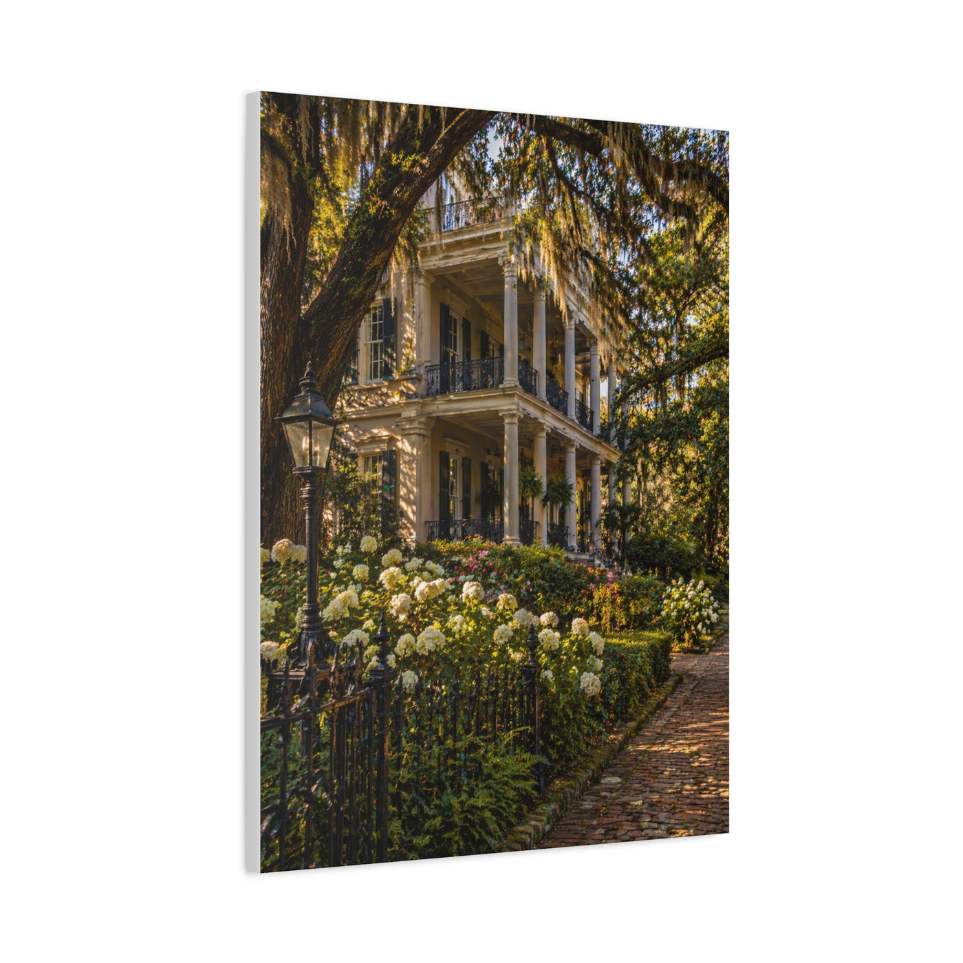 Garden District Mansion Under Live Oaks Wall Art & Canvas Print