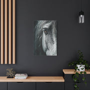 Horse Eye Intimate Monochrome Wall Art & Canvas Print