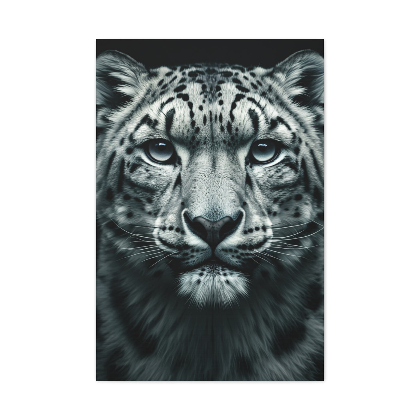 Snow Leopard Intense Gaze Wall Art & Canvas Prints