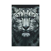 Snow Leopard Intense Gaze Wall Art & Canvas Prints