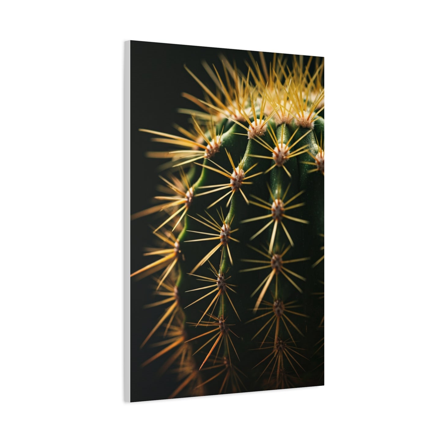 Desert Geometry Cactus Close-Up Wall Art & Canvas Prints