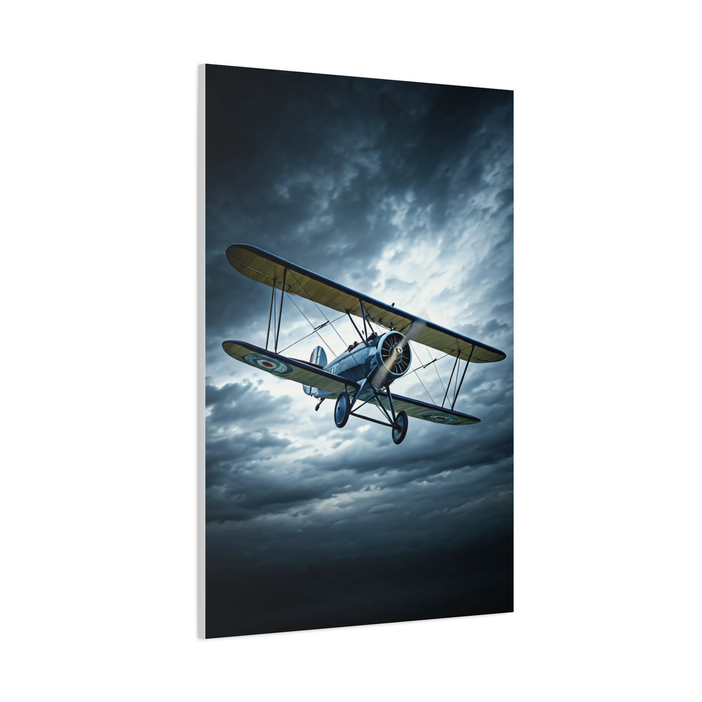 Stormbound Biplane Flight Wall Art & Canvas Prints