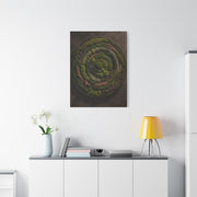 Circular Preserved Moss Relief Wall Art & Canvas Print