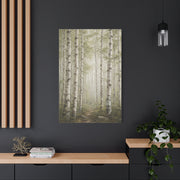 Light Birch Woodland Minimal Landscape Trees Wall Art & Canvas Print