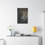 Lion Close Portrait Intense Gaze Wall Art & Canvas Print