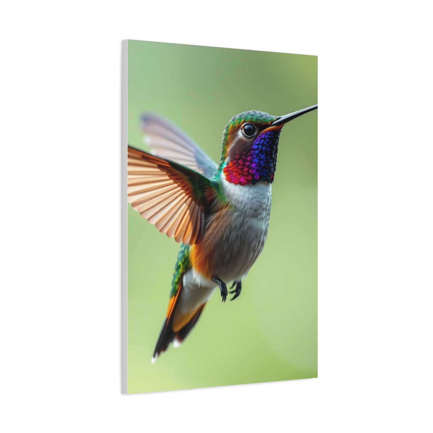 Vision Humming Bird Art Art Wall Art & Canvas Print