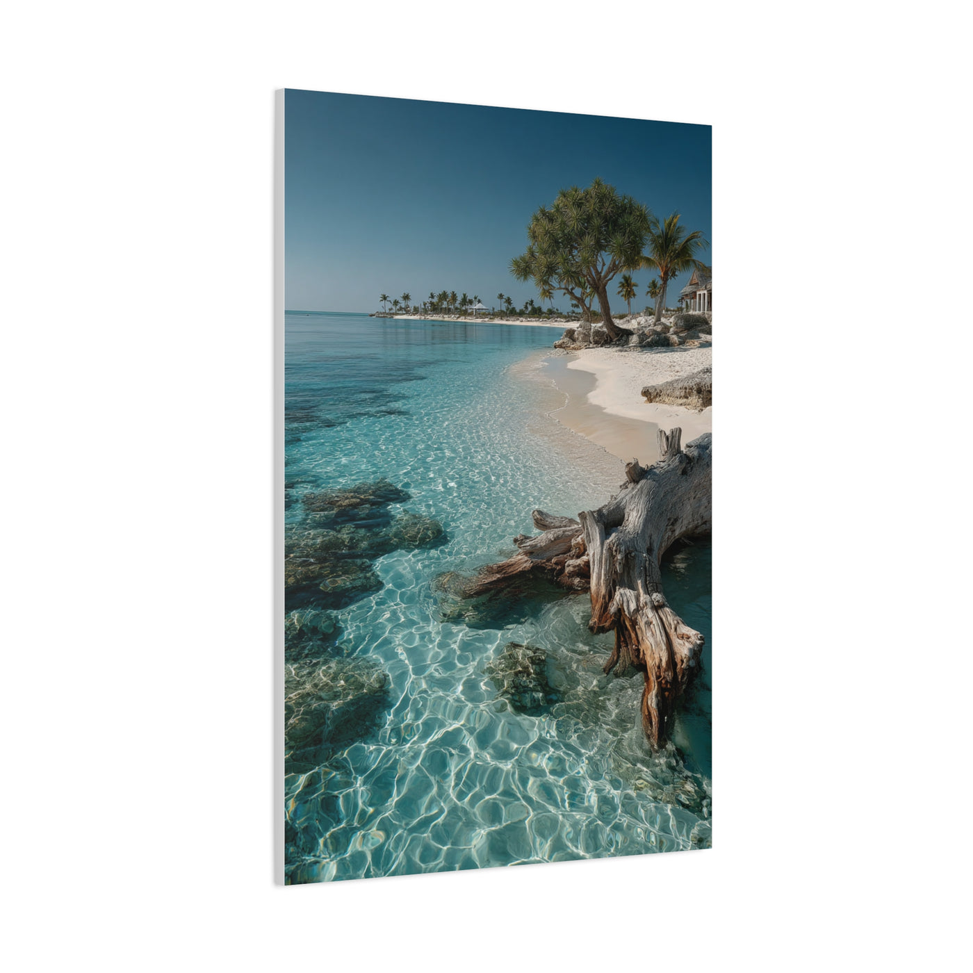 Tropical Driftwood Cove Wall Art & Canvas Print