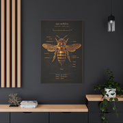 Gold Bee Entomology Study Wall Art & Canvas Print