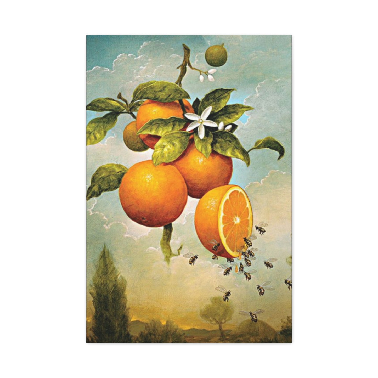 Orange Fruit Wall Art & Canvas Prints