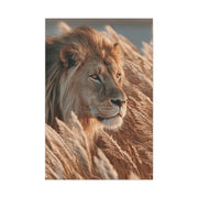 Lion in Golden Grass Calm Watch Wall Art & Canvas Print