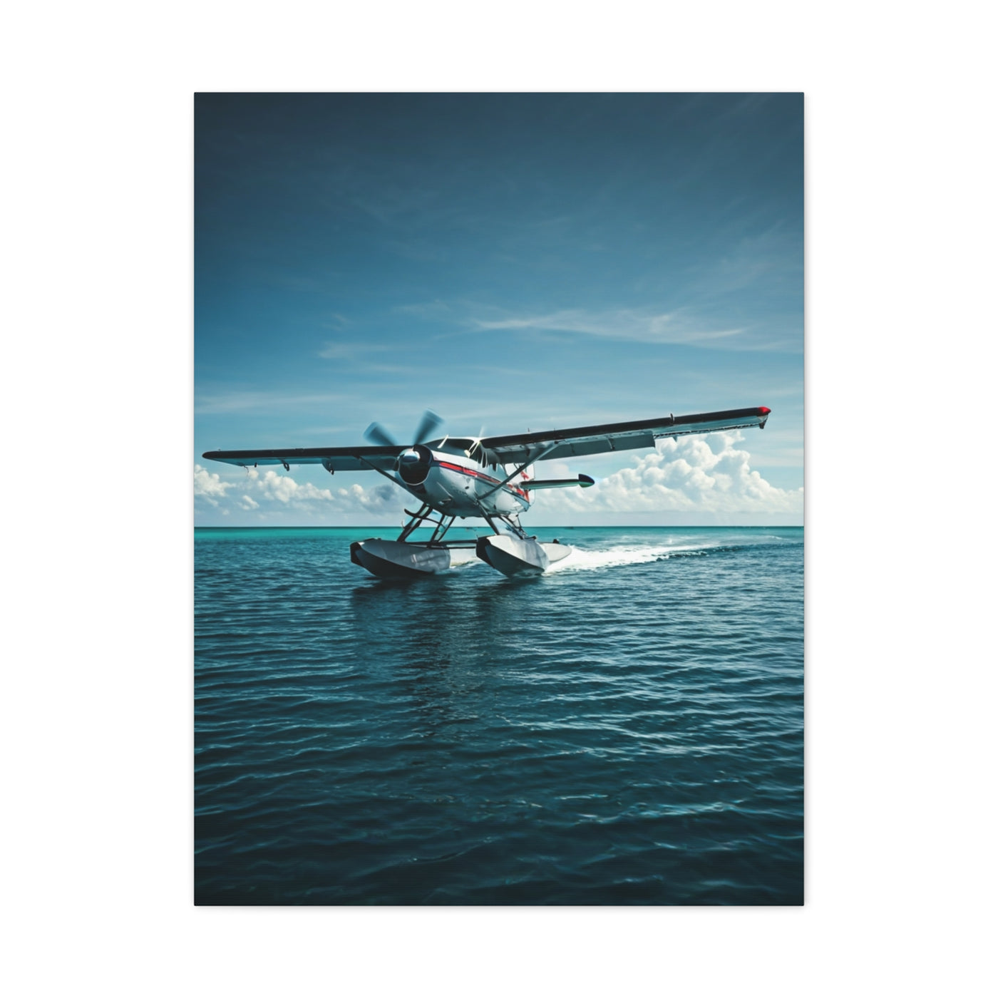 Seaplane Landing Adventure Wall Art & Canvas Prints