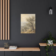 Mediterranean Olive Grove Light Trees Wall Art & Canvas Print