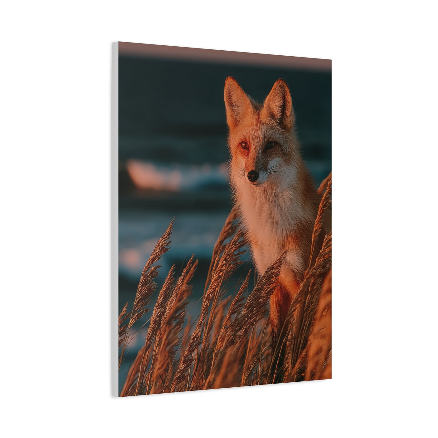 Coastal Dune Fox Golden Hour Wall Art & Canvas Print